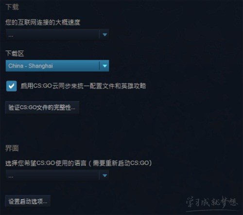 CSGO国服和steam皮肤通用吗