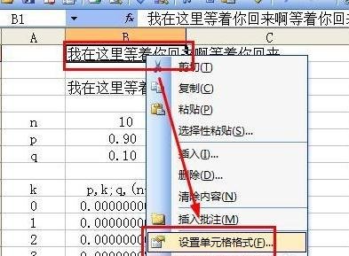 excel表格里的文字自动换行的操作教程