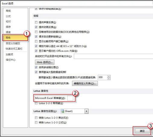 Excel表格中出现不能输入斜线操作的处理方法