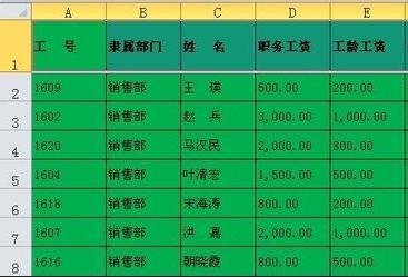 excel表格进行筛选操作的教程