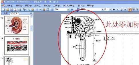 powerpoint图片不显示的解决方法