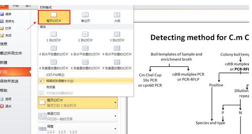 如何使用ppt2013打印占满整张纸